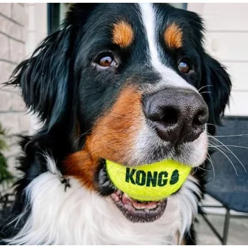 KONG Medium SqueakAir Tennis Balls for Dogs - 6 Pack