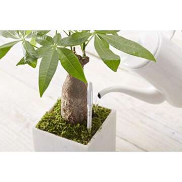 Sustee Aquameter Plant Soil Moisture Sensor Set of 5