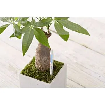 Sustee Aquameter Plant Soil Moisture Sensor Set of 5