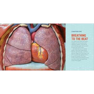 Human Anatomy for Kids: A Junior Scientist's Guide to How We Move, Breathe, and Grow
