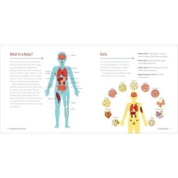 Engaging Human Anatomy Book for Kids Ages 4-8