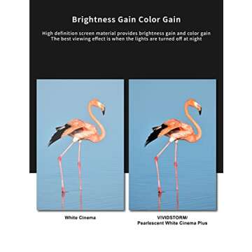 VIVIDSTORM Pearlescent Cinema White Plus Screen - 100 Inch