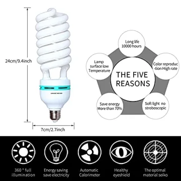 Professional Photography Softbox Lighting Kit Setup