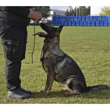 Dingo Gear Choke Collar - Handmade Adjustable Dog Training Tool