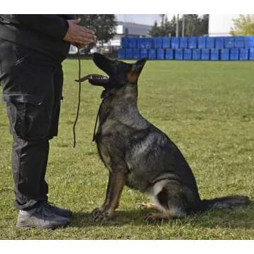 Dingo Gear Choke Collar - Handmade Adjustable Dog Training Tool