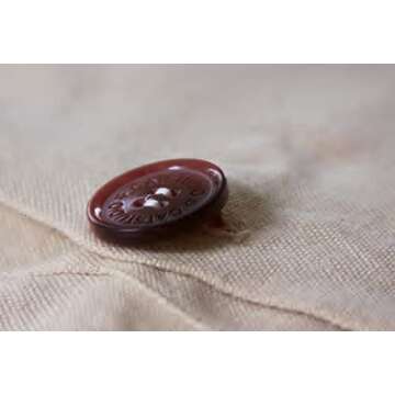 Catstudio Texas Embroidered Decorative Throw Pillow