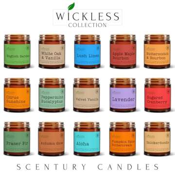 Wickless Candles - Many Scents, Non-Toxic Soy Wax