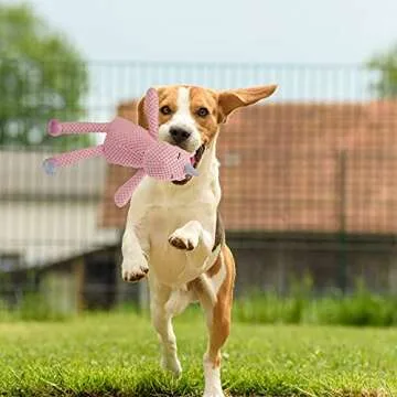 GOOLA Durable Interactive Squeaky Dog Toy for Pets