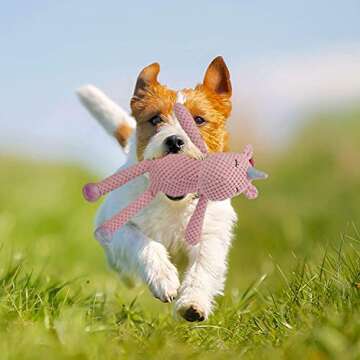 GOOLA Durable Interactive Squeaky Dog Toy for Pets