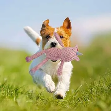 GOOLA Durable Interactive Squeaky Dog Toy for Pets