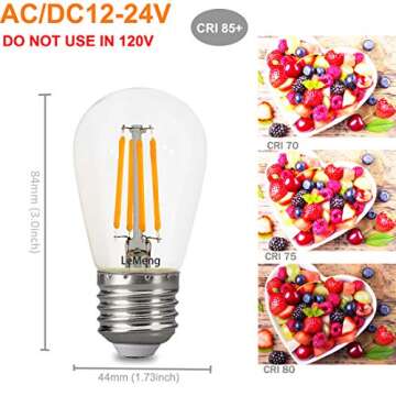 12volt LED Light Bulb 4W Edison Filament Vintage ac/dc12V 24V Low Voltage(3000K Warm White) E26 Base...