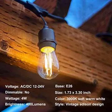 12V LED Bulb 4W Edison Vintage for RV & Solar Systems