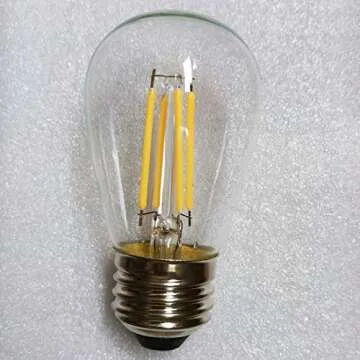 12V LED Bulb 4W Edison Vintage for RV & Solar Systems