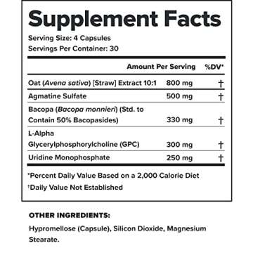LEGION Athletics Ascend Nootropic - All-Natural Brain Supplements for Memory and Focus - Nootropics Brain Support Supplement with Alpha-GPC - Brain Supplement for Alertness & Mood Support, 30 Servings