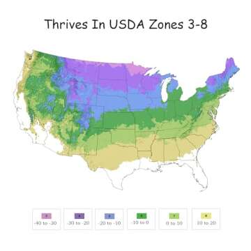 Proven Winner Little Lime Hydrangea 2 Gal, Green to Pink Blooms