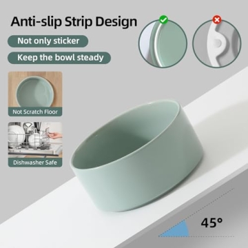 Havniva Elevated Ceramic Cat Bowl - Stylish Feeding Solution