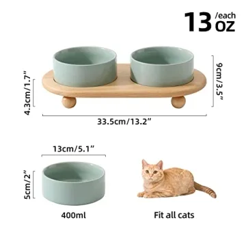 Havniva Elevated Ceramic Cat Bowl - Stylish Feeding Solution