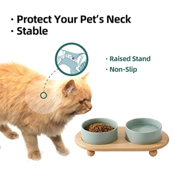 Havniva Elevated Ceramic Cat Bowl - Stylish Feeding Solution