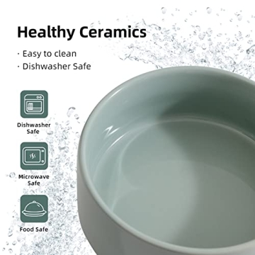 Havniva Elevated Ceramic Cat Bowl - Stylish Feeding Solution