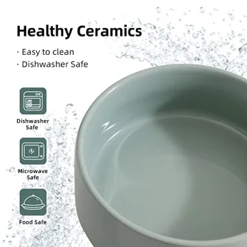 Havniva Elevated Ceramic Cat Bowl - Stylish Feeding Solution