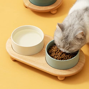 Havniva Elevated Ceramic Cat Bowl - Stylish Feeding Solution