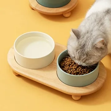 Havniva Elevated Ceramic Cat Bowl - Stylish Feeding Solution