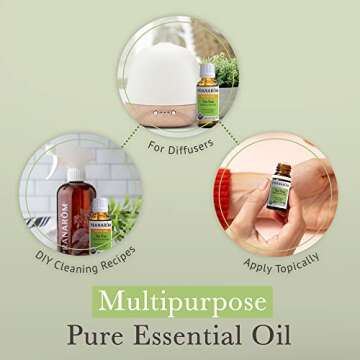 Pranarom Organic Tea Tree Essential Oil 30ml, Pure & Natural