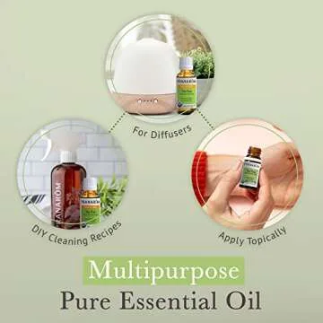 Pranarom Organic Tea Tree Essential Oil 30ml, Pure & Natural