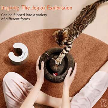 CusieryMax Cat Ball Adventure The Ultimate Interactive Mental & Physical Exercise for Indoor Cats