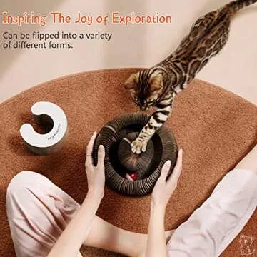 CusieryMax Cat Ball Adventure The Ultimate Interactive Mental & Physical Exercise for Indoor Cats