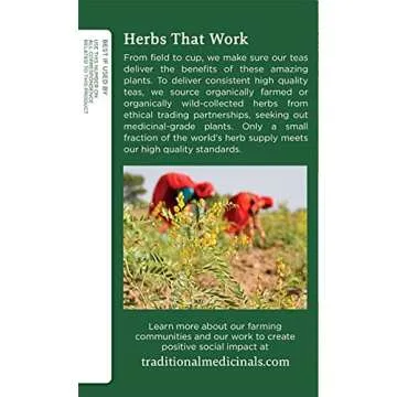 Traditional Medicinals Organic Fennel Herbal Tea, Promotes Digestive Health, (Pack of 1) - 16 Tea Bags