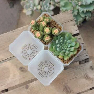 BangQiao 60 Pack Small 2.70 Inch Plastic Square Nursery Pot, Plant Starting and Transplant Planter Container with Drainage Hole for Seed Germination, Clear