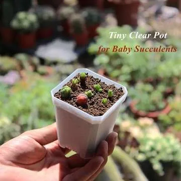 BangQiao 60 Pack Small 2.70 Inch Plastic Square Nursery Pot, Plant Starting and Transplant Planter Container with Drainage Hole for Seed Germination, Clear