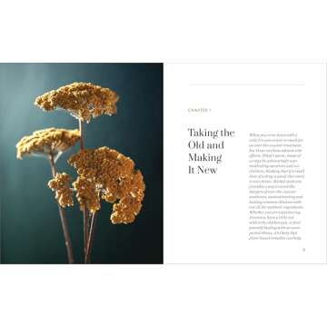 Herbal Medicine Natural Remedies: 150 Herbal Remedies to Heal Common Ailments