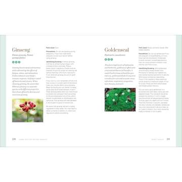 Herbal Medicine Natural Remedies 150 Healing Recipes