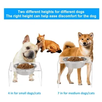 AITEE Elevated Dog Bowl Stand for Medium Dogs - 2 Pack