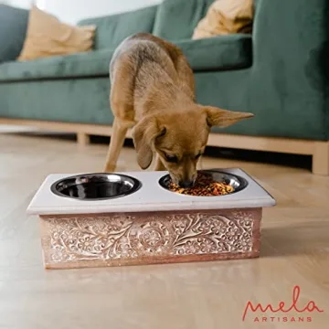 Elevated Wooden Pet Bowls - Stylish & Practical Feeding Solution