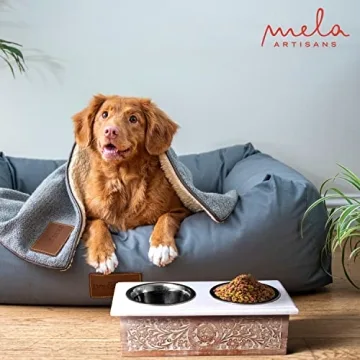 Elevated Wooden Pet Bowls - Stylish & Practical Feeding Solution