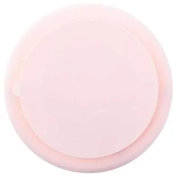 Stephen Joseph Silicone Baby Plate, One size, Bunny