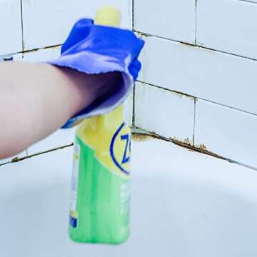 Zep Mold Stain Remover - Professional Grade No Scrub Solution