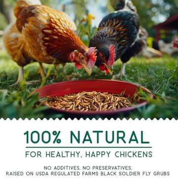 FLYGRUBS 5 lb Dried Black Soldier Fly Larvae, Non-GMO High-Calcium Chicken Feed for Healthy Laying H...