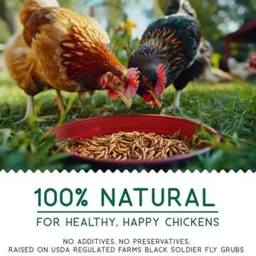 FLYGRUBS 5 lb Dried Black Soldier Fly Larvae, Non-GMO High-Calcium Chicken Feed for Healthy Laying H...