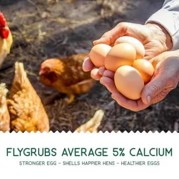 FLYGRUBS 5 lb Dried Black Soldier Fly Larvae, Non-GMO High-Calcium Chicken Feed for Healthy Laying Hens, Turkeys, Wild Birds, Ducks, Nutrient-Rich and 85x More Calcium Than Mealworms