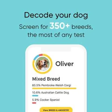 Embark Dog DNA Test for Breed & Health Screening