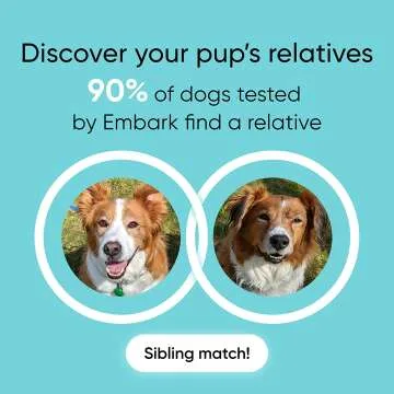 Embark Dog DNA Test for Breed & Health Screening