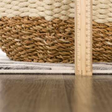 Hauteloom Ecorse Contemporary Animal Zebra Print Area Rug for Living Room Bedroom Dining Room - Distressed Faded Style - Cream, Black, White, Beige, Gray - 5'3" x 7'3" (5x7)