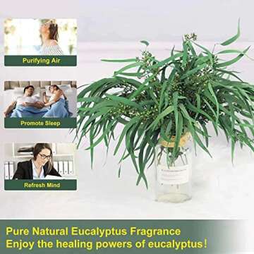 Real Seeded Eucalyptus Stems, Preserved Greenery Branches for Shower, 16'' Natural Real Eucalyptus Leaves with Seeds, 5oz Green Leaves Bundle for Arrangement, Wedding, Home, Farmhouse, Office Decor