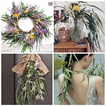 Real Seeded Eucalyptus Stems, Preserved Greenery Branches for Shower, 16'' Natural Real Eucalyptus Leaves with Seeds, 5oz Green Leaves Bundle for Arrangement, Wedding, Home, Farmhouse, Office Decor