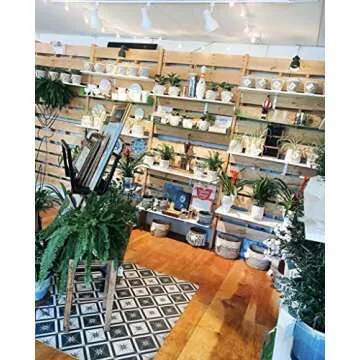 Dimmable Full Spectrum ASPECT Vita™ LED Grow Light Bulb