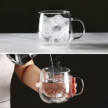 Elegant Double Walled Glass Coffee Mugs for All